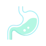 home 2 Minimalist stomach icon representing digestive health and gut function.